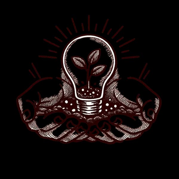 Hands nurturing a lightbulb with a growing plant — representing growth through coaching